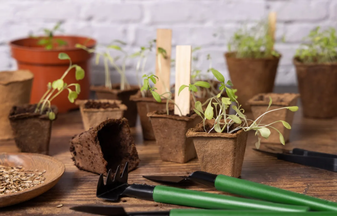 mass planting ideas