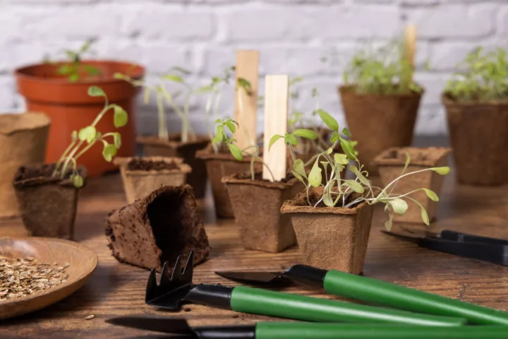 mass planting ideas