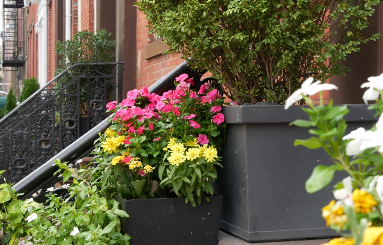 narrow balcony garden