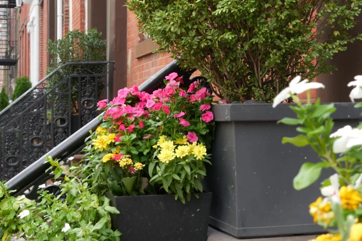 narrow balcony garden