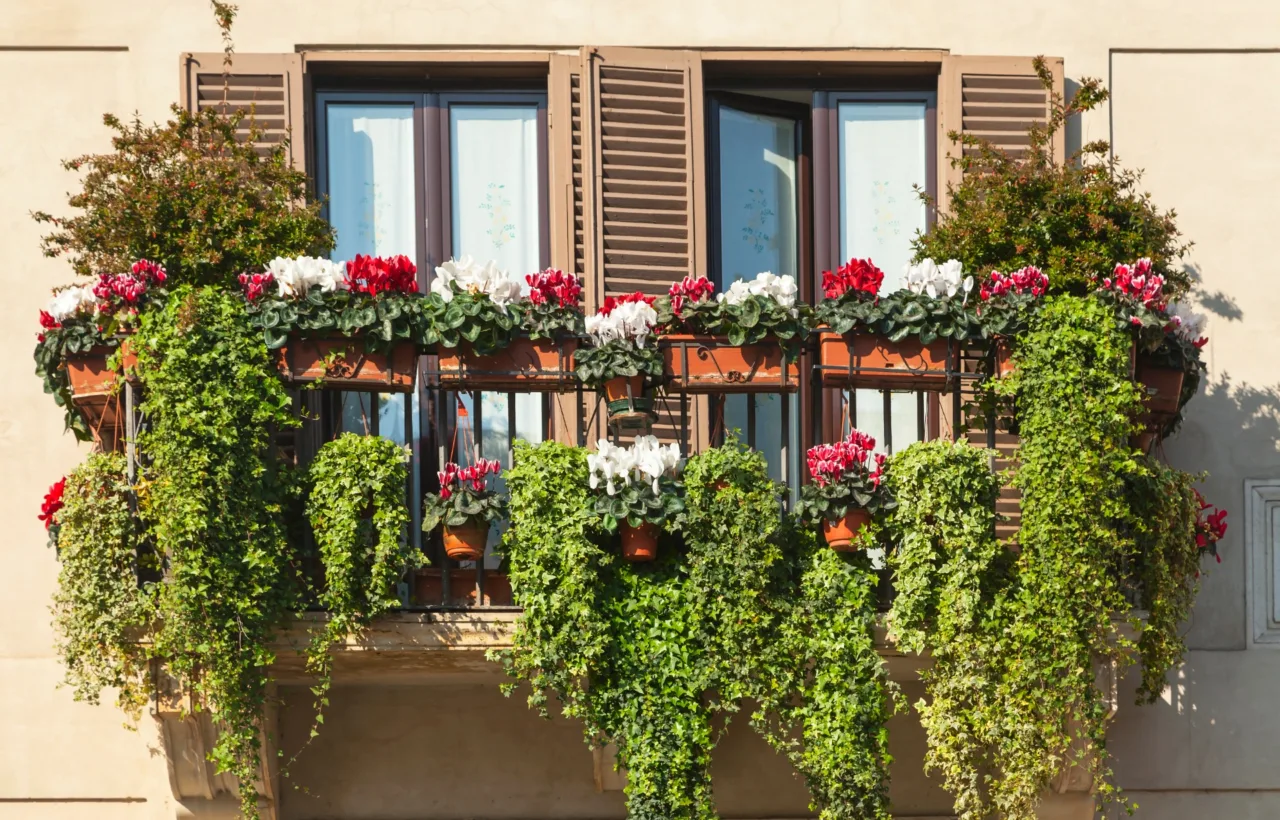 parisian balcony garden