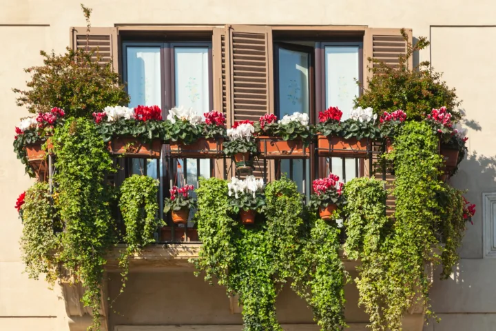parisian balcony garden