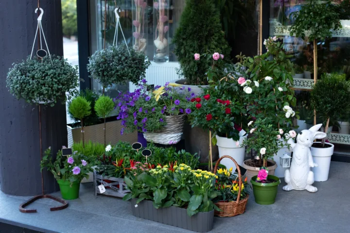 patio planting ideas