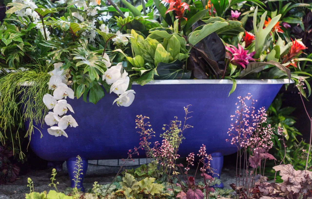 planting hostas landscaping ideas