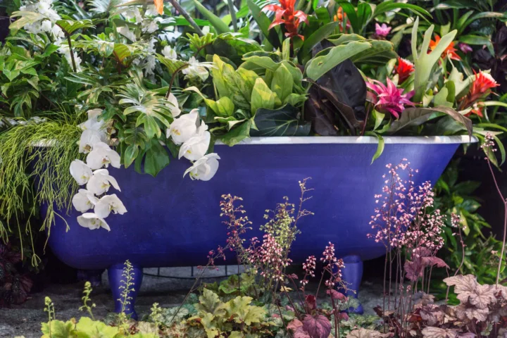 planting hostas landscaping ideas