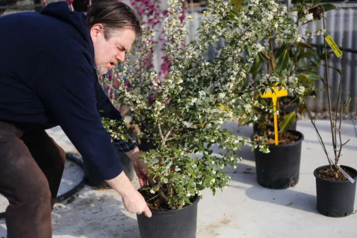 planting ideas outdoor