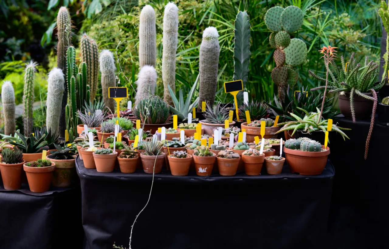 planting party ideas