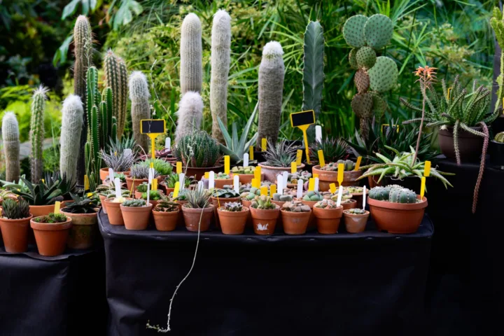 planting party ideas