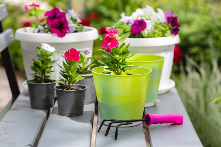 planting pots ideas outdoor