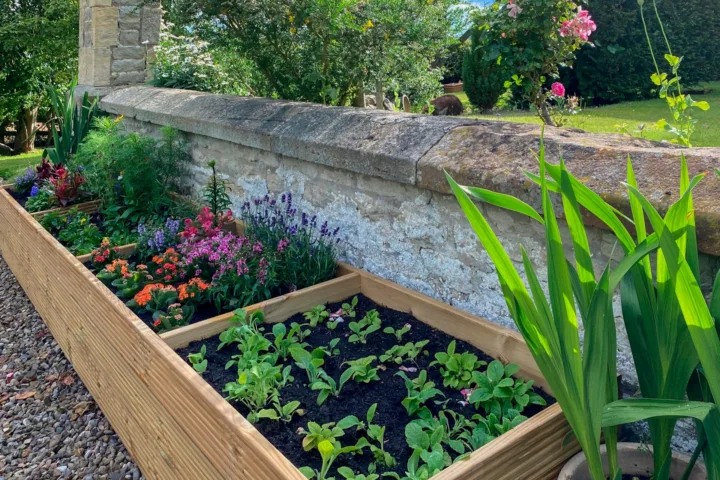 raised border planting ideas