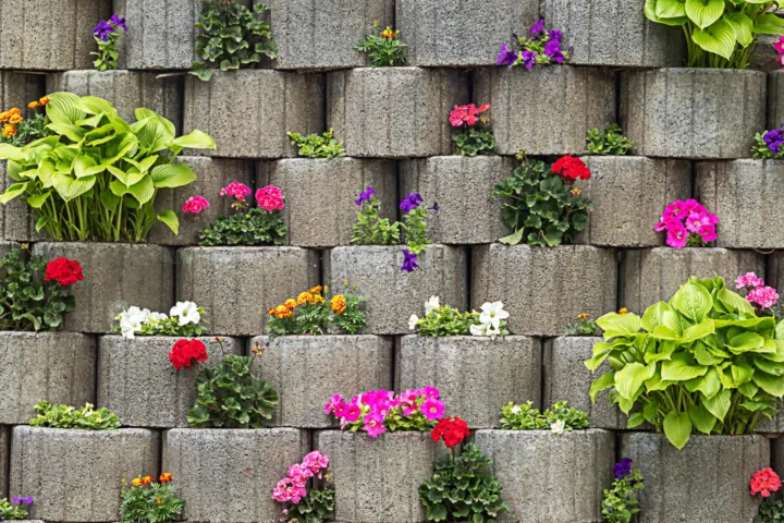 retaining wall planting ideas