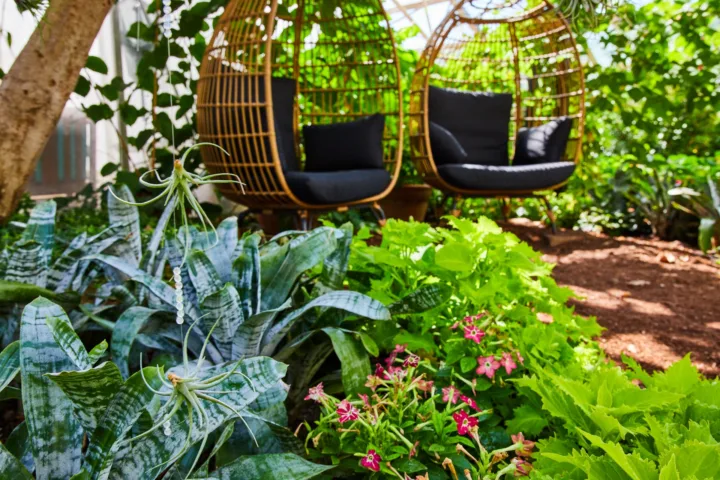 shady balcony garden