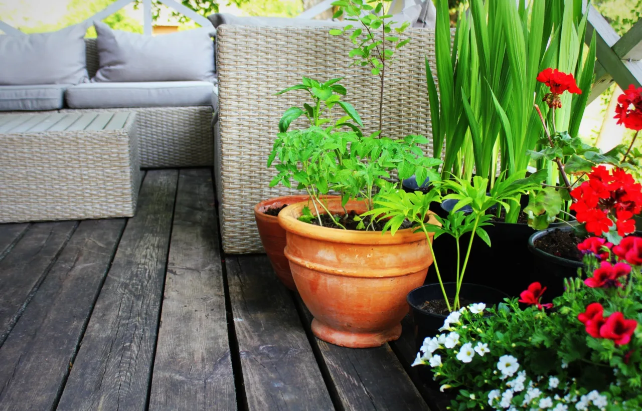 simple balcony garden ideas
