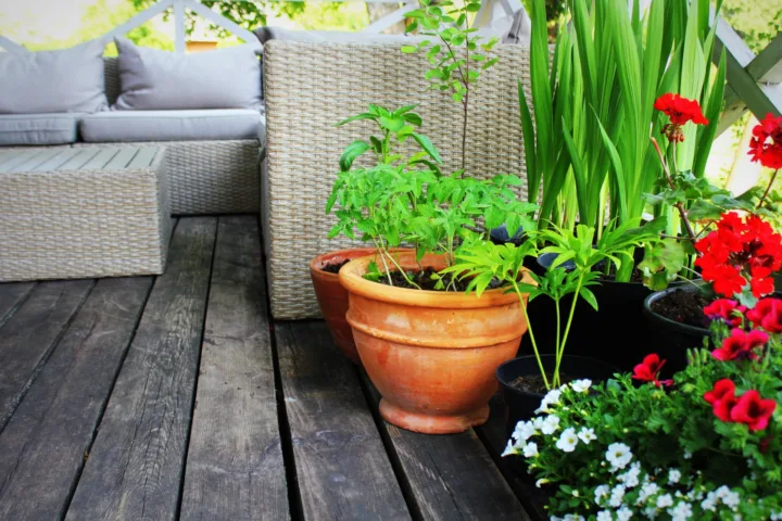 simple balcony garden ideas