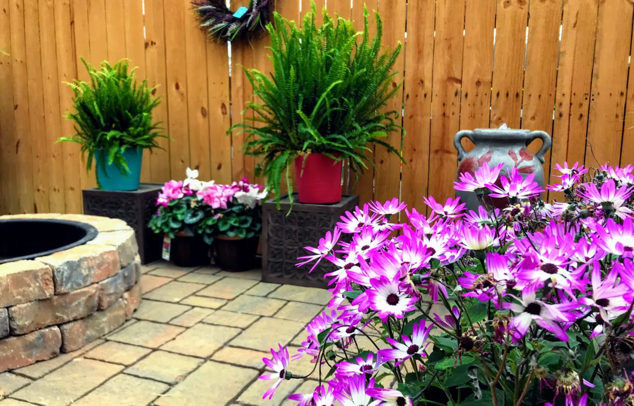 small backyard planting ideas