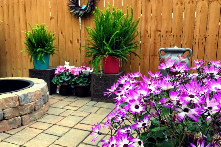 small backyard planting ideas