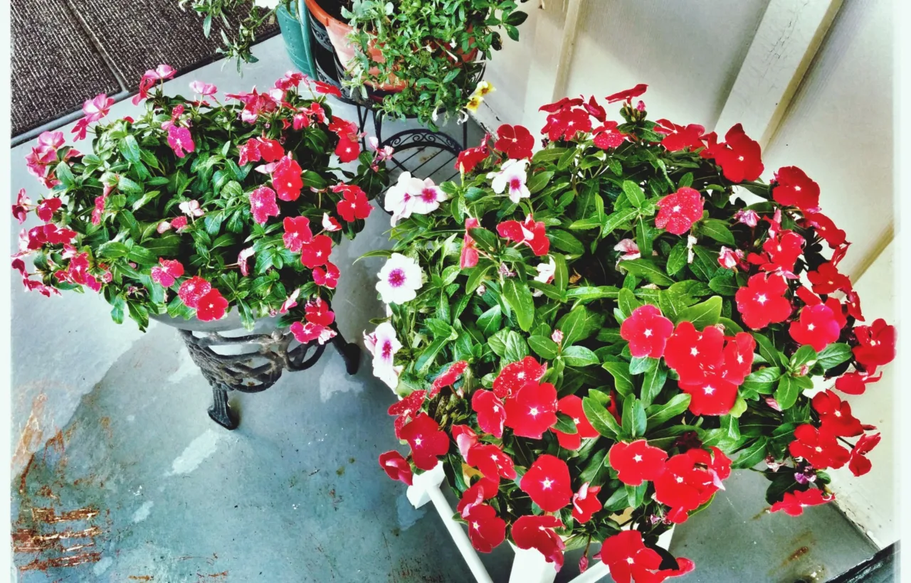 small balcony garden ideas apartments