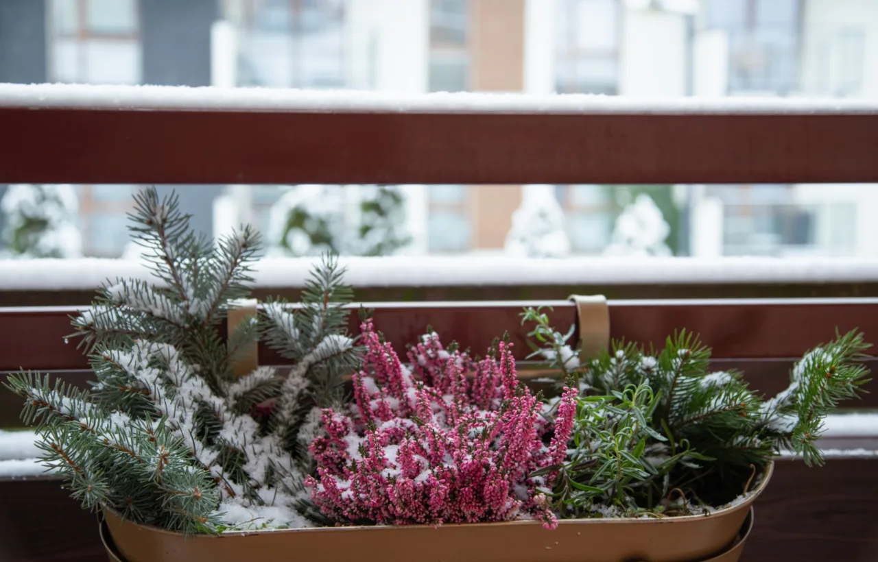winter garden balcony